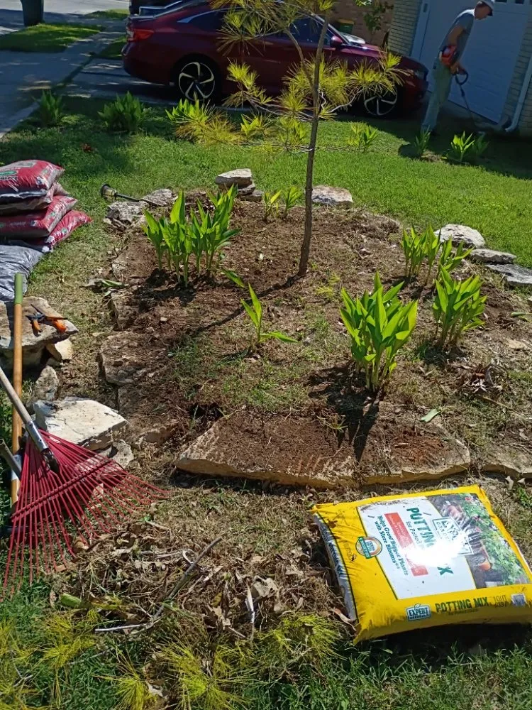 Affordable yard cleanup service experts serving New Braunfels, TX - Precision Landscaping