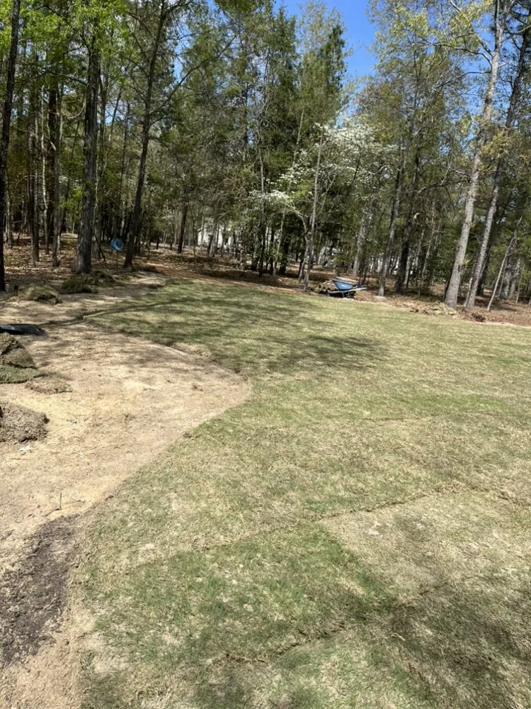 Professional landscape installation for residential properties across Pinehurst, NC - Precision Landscaping