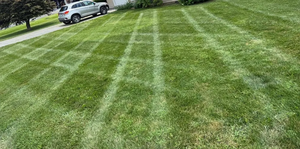 Expert residential landscaping experts serving Princeton, WV - Precision Landscaping