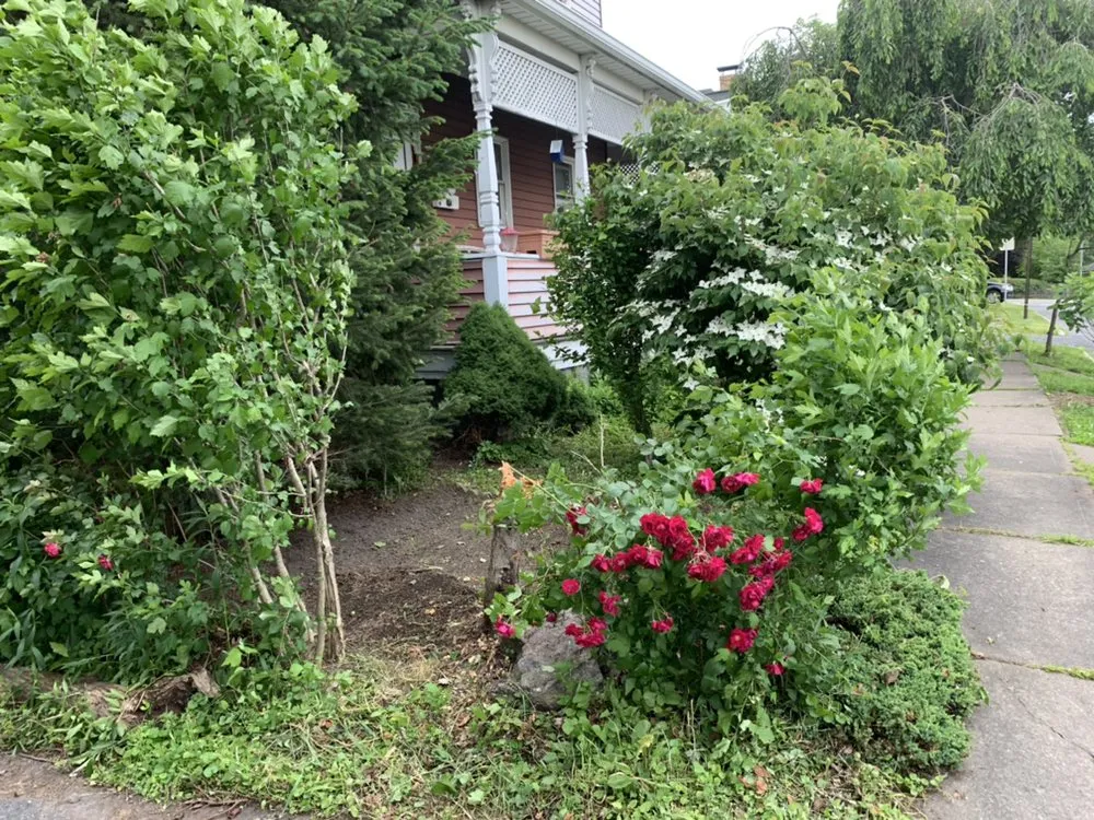 Trusted lawn mowing service for beautiful yards in Scranton, PA by Precision-landscaping