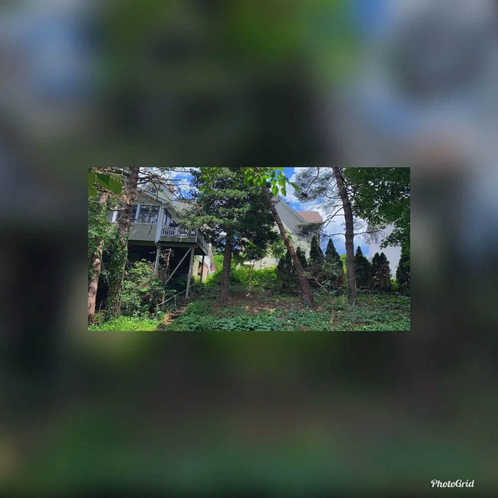 Trusted lawn care service in Scranton, PA by Precision-landscaping