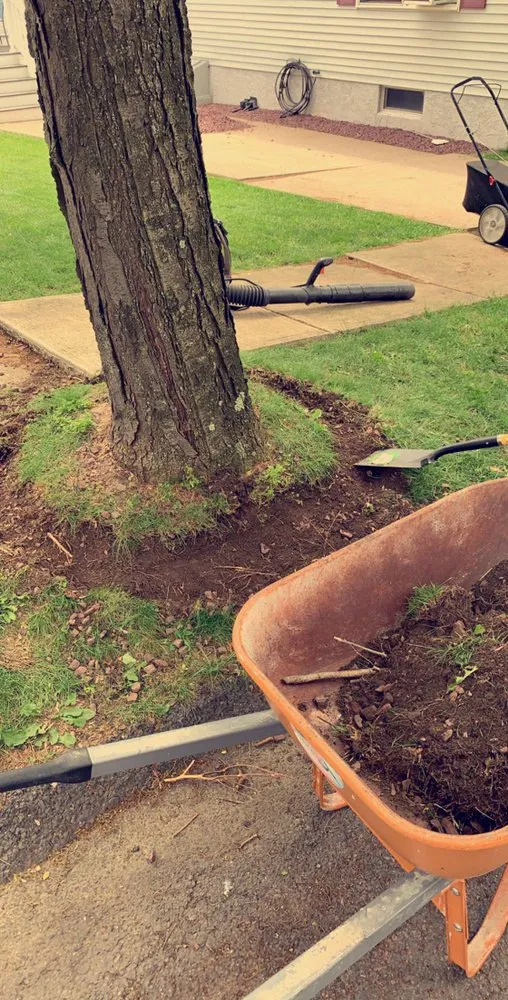 Trusted lawn mowing service near you in Scranton, PA by Precision-landscaping