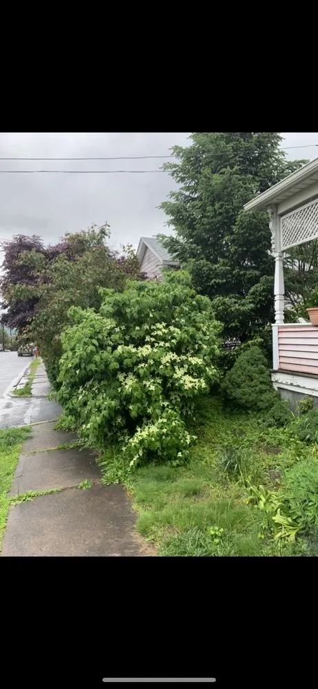 Professional outdoor landscaping for residential properties across Scranton, PA - Precision-landscaping