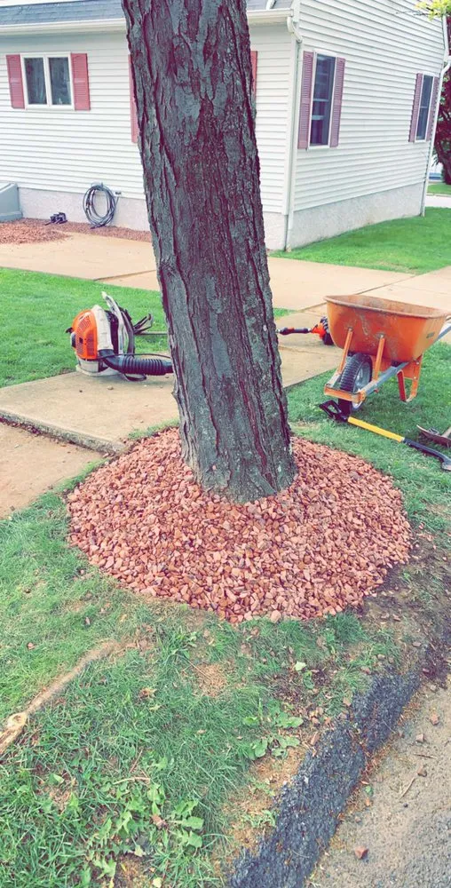 Local yard maintenance experts serving Scranton, PA - Precision-landscaping