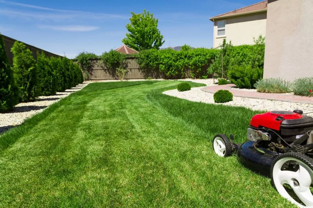 Custom lawn care service for year-round maintenance in Severn, MD by Precision Landscaping
