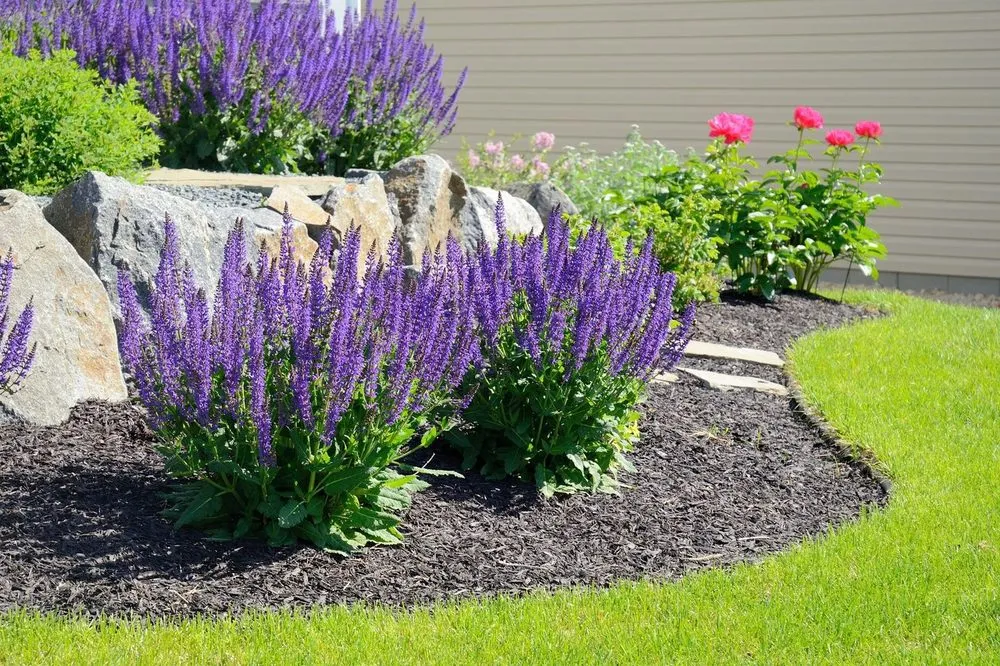 Affordable landscape design experts serving Severn, MD - Precision Landscaping