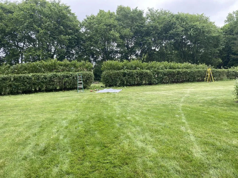 Affordable lawn mowing service with custom design across Bucyrus, OH - Precision Landscaping Solutions