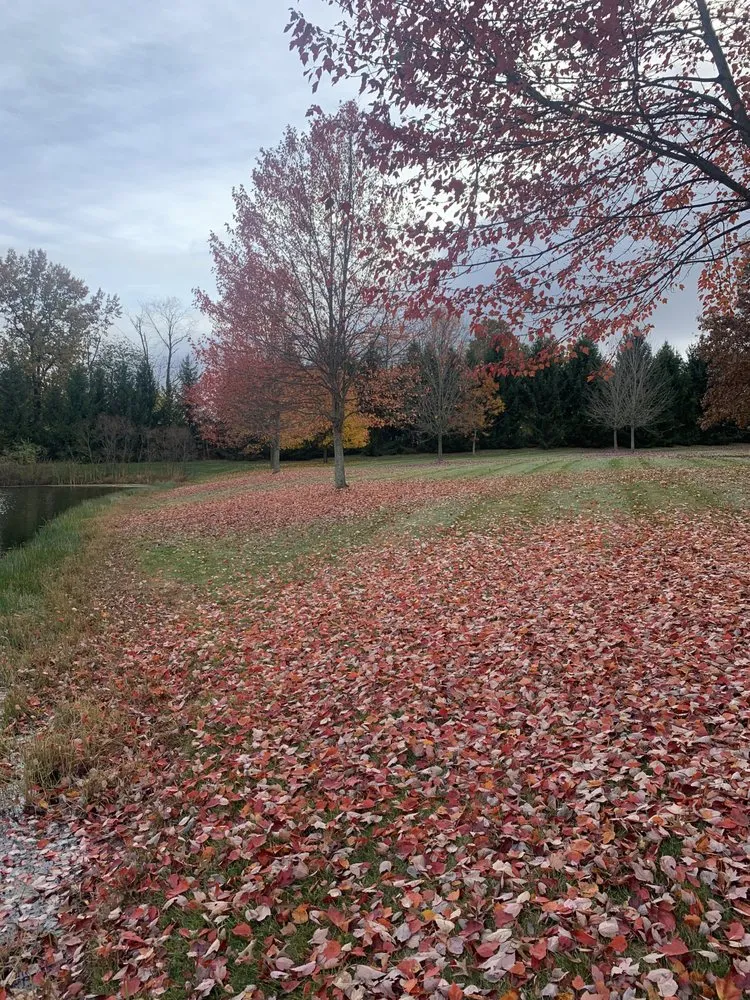 Top-rated lawn mowing service experts serving Bucyrus, OH - Precision Landscaping Solutions