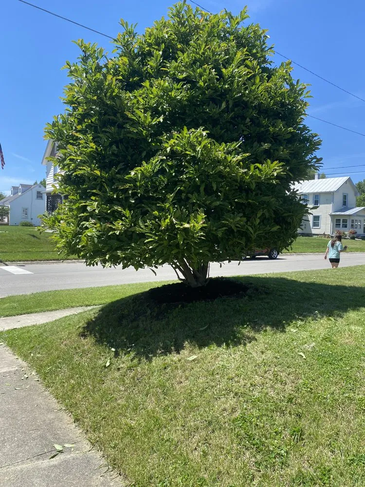 Expert landscaping services in Bucyrus, OH - Precision Landscaping Solutions