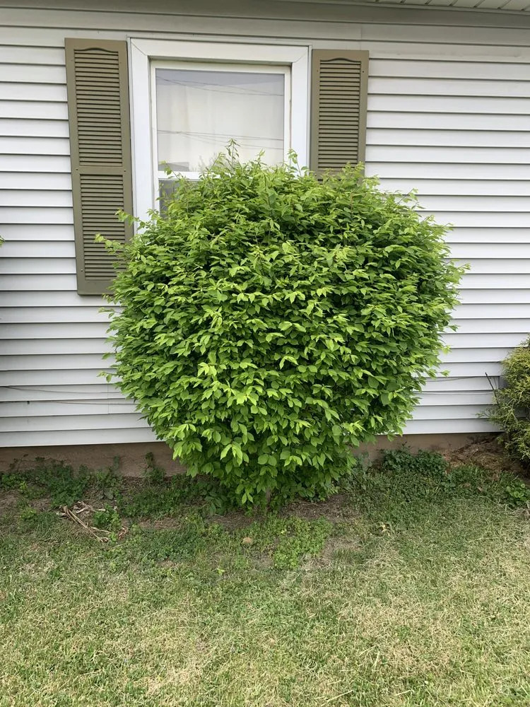 Reliable residential landscaping experts serving Bucyrus, OH - Precision Landscaping Solutions