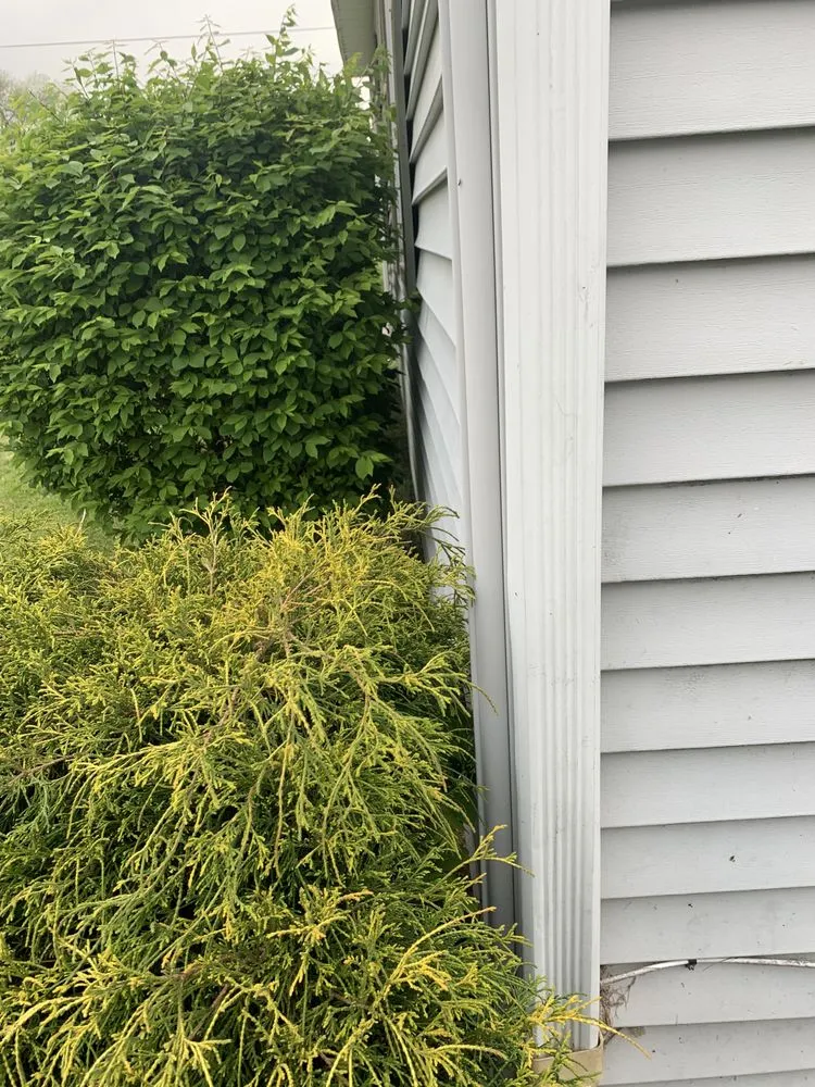 Affordable lawn mowing service for residential properties across Bucyrus, OH - Precision Landscaping Solutions