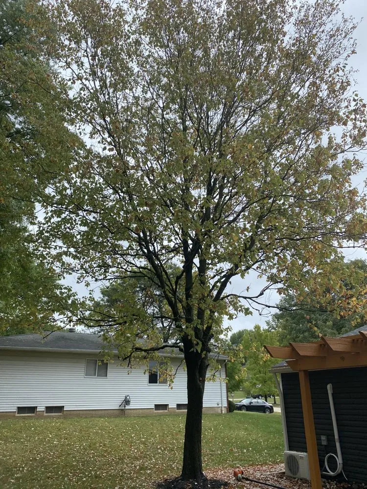 Local lawn care service in Bucyrus, OH by Precision Landscaping Solutions