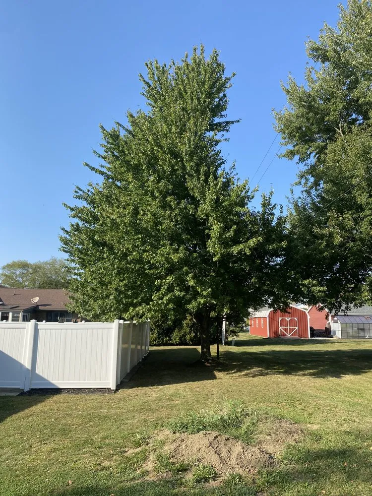 Affordable lawn care service in Bucyrus, OH by Precision Landscaping Solutions