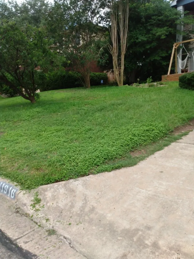 Local landscape installation in Temple, TX by Precision Landscaping