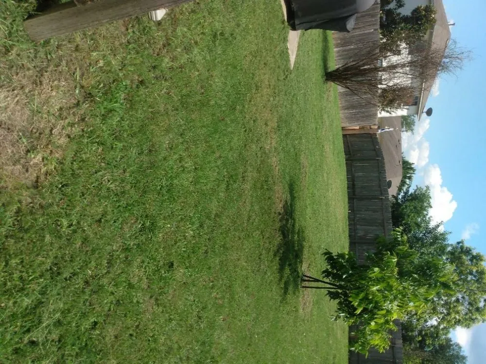 Local landscape design experts serving Temple, TX - Precision Landscaping