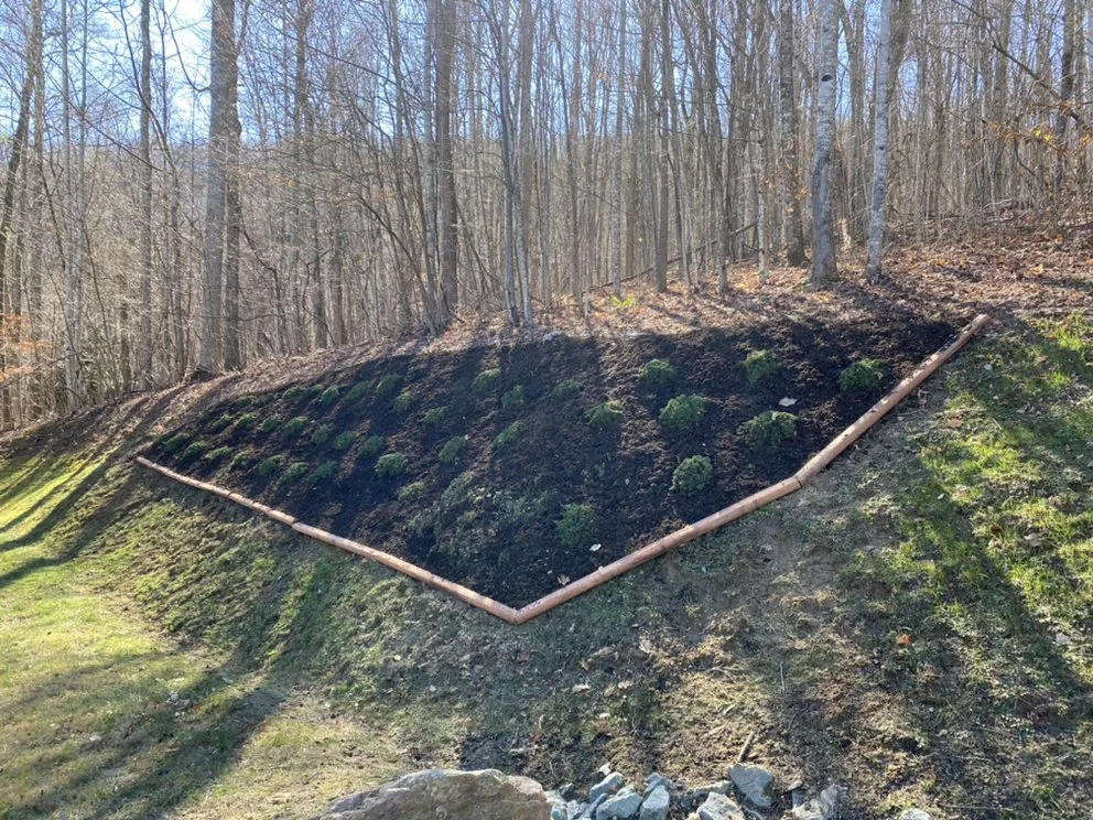 Local lawn care service in Vilas, NC - Precision Landscaping