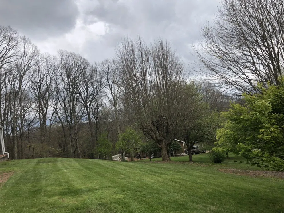 Local lawn care service near you in Vilas, NC by Precision Landscaping