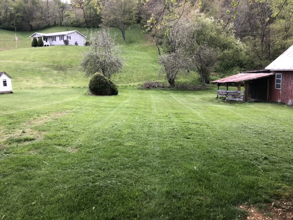 Professional yard maintenance in Vilas, NC - Precision Landscaping