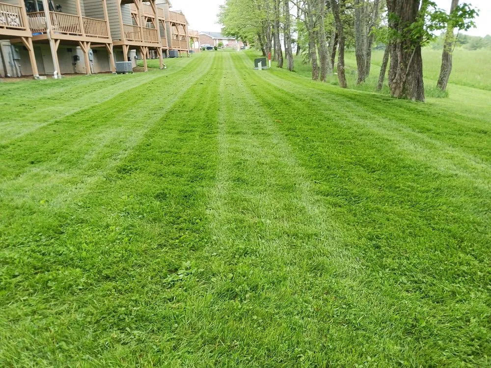 Expert landscaping services for beautiful yards in Vilas, NC by Precision Landscaping