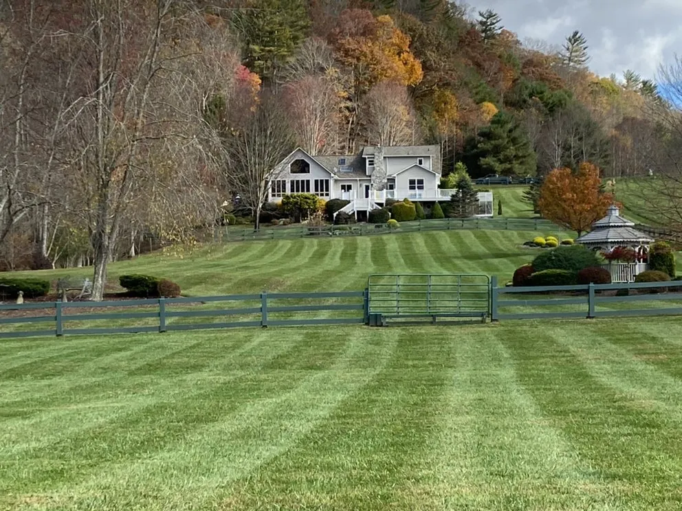 Top-rated yard cleanup service for year-round maintenance across Vilas, NC - Precision Landscaping
