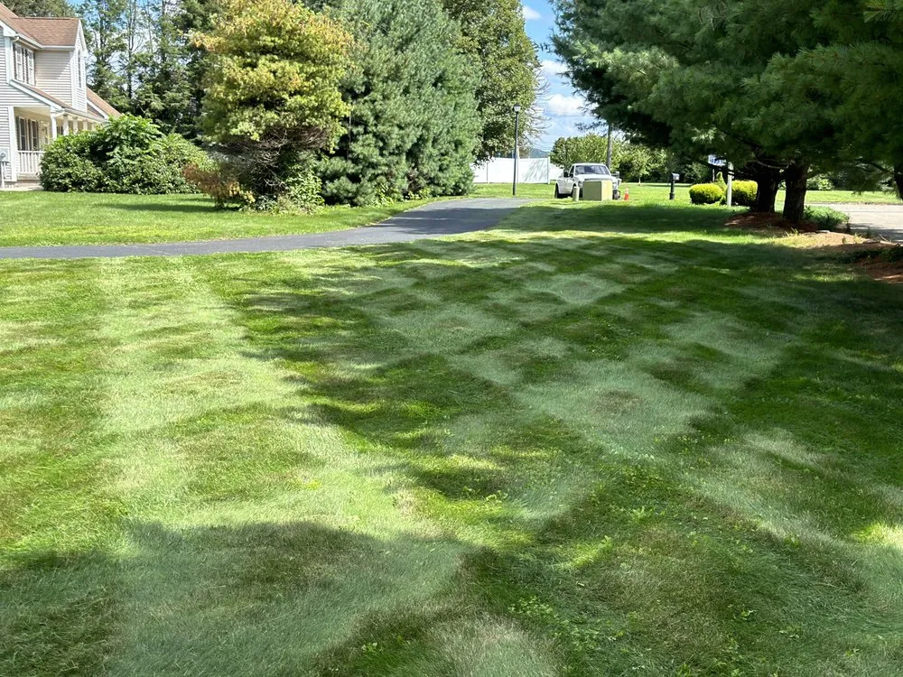 Top-rated residential landscaping for beautiful yards across Wallingford, CT - Precision landscaping
