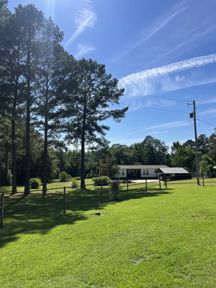 Trusted residential landscaping for year-round maintenance across West Monroe, LA - Precision Landscaping