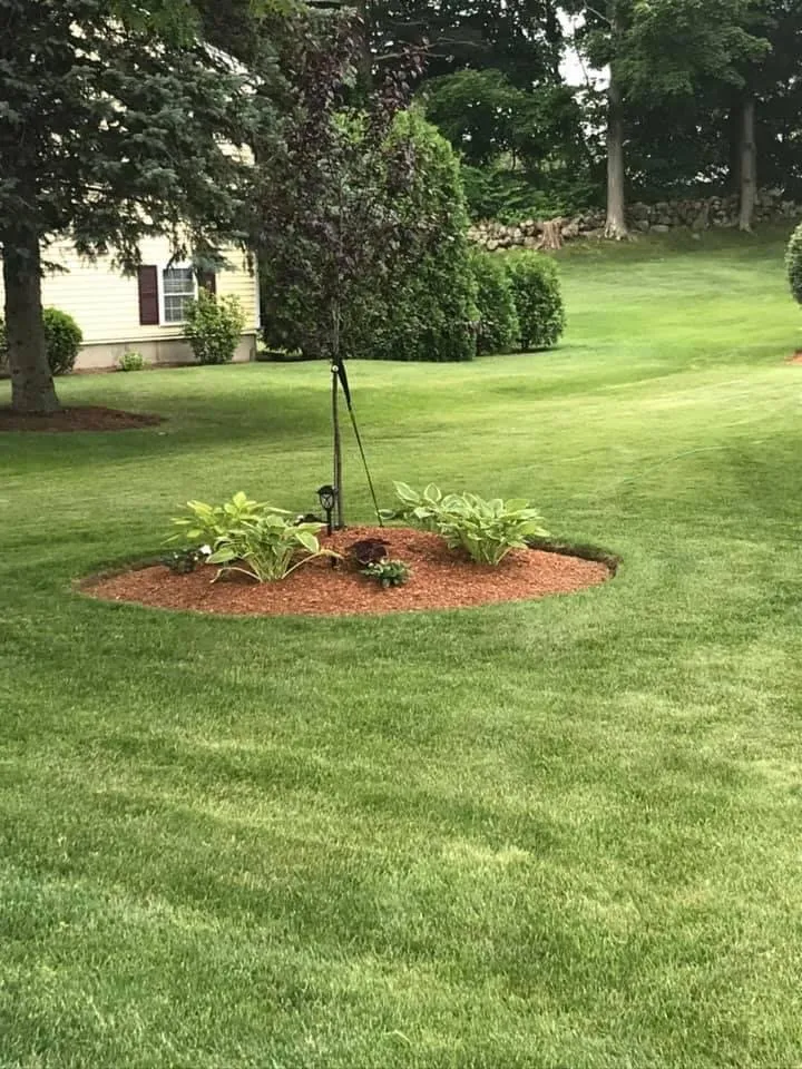 Reliable yard cleanup service experts serving Woburn, MA - Precision Landscaping
