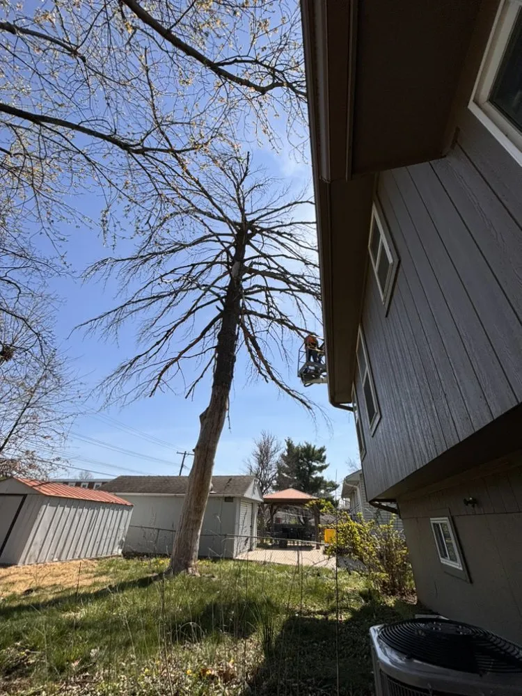 Affordable landscaping services in Kansas City, MO by Precision Lawn & Land