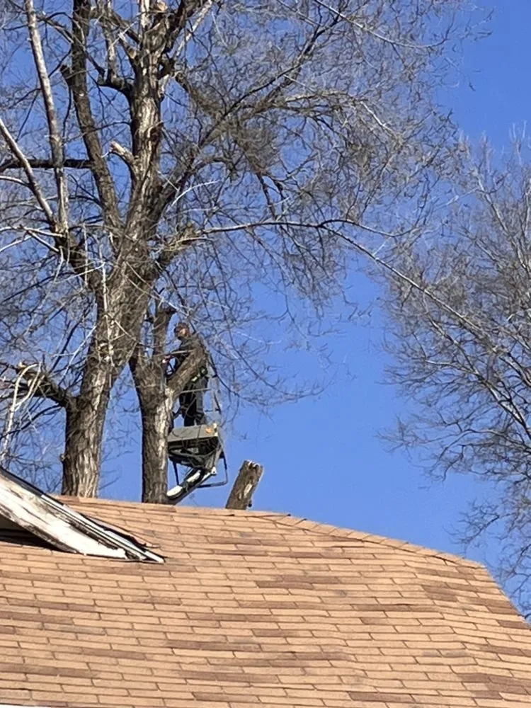 Professional garden landscaping in Kansas City, MO - Precision Lawn & Land