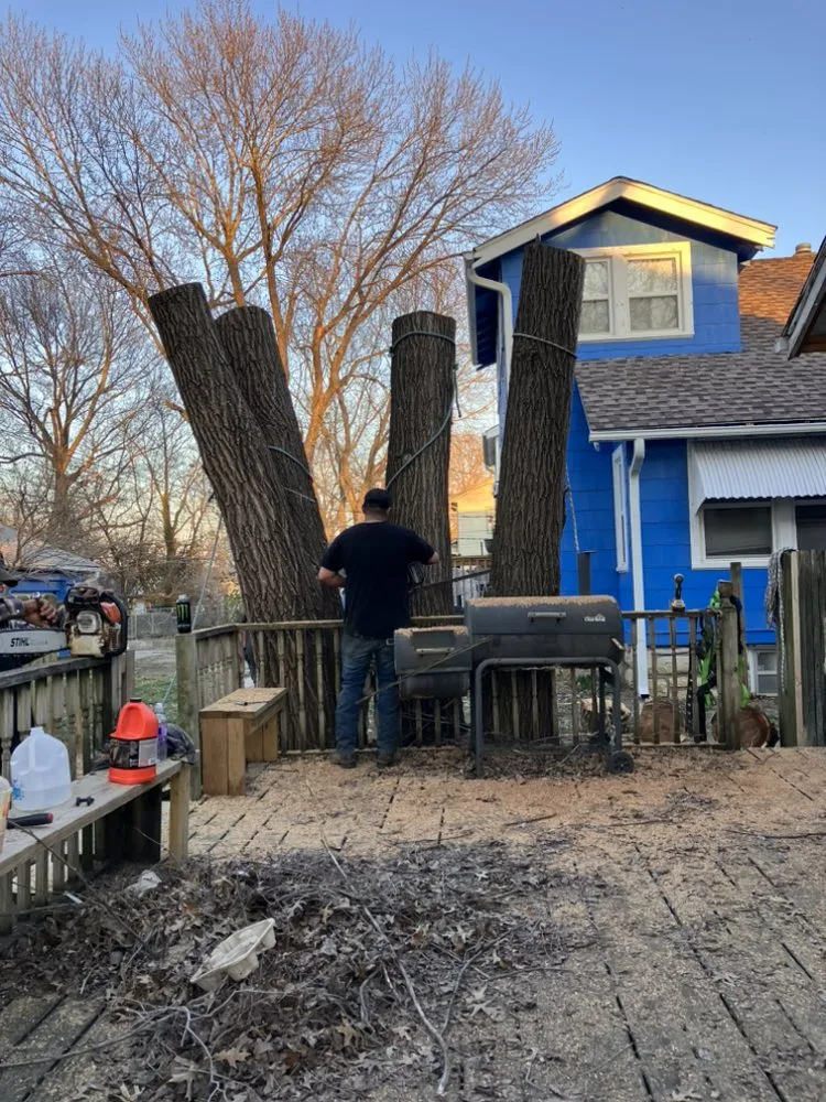 Custom yard cleanup service in Kansas City, MO by Precision Lawn & Land