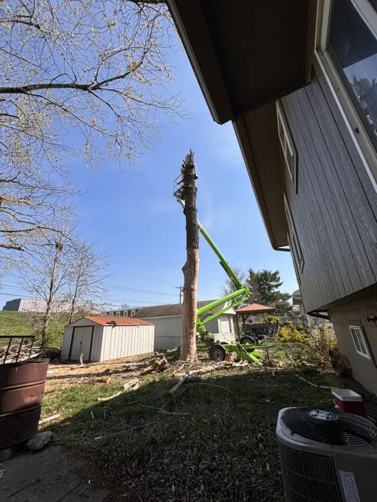 Reliable landscape design experts serving Kansas City, MO - Precision Lawn & Land