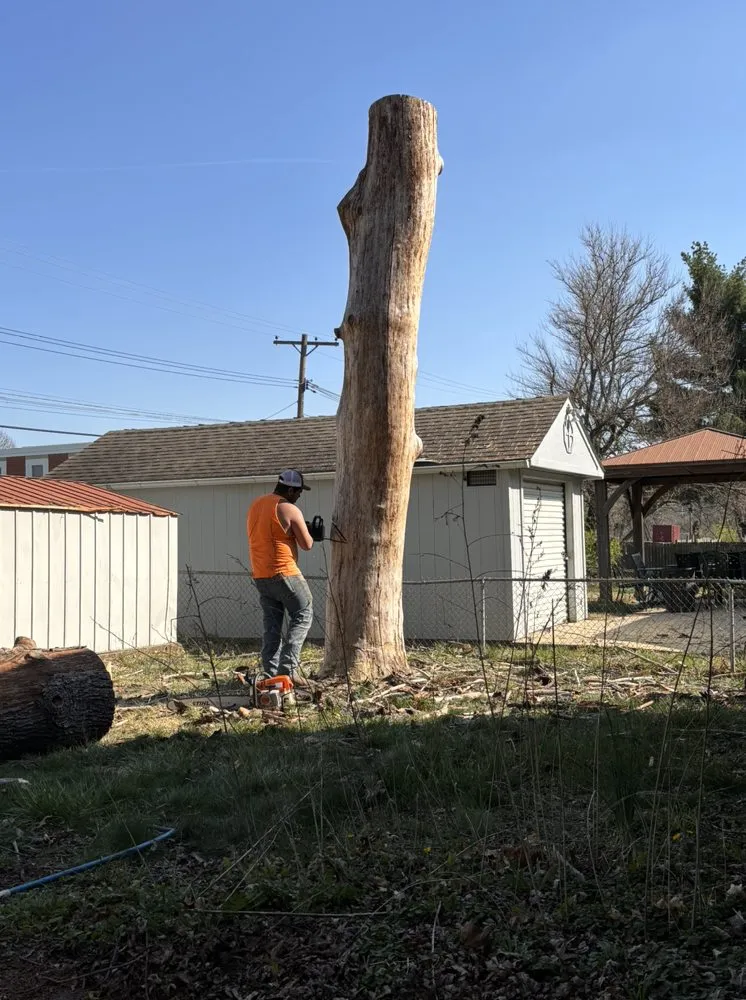 Reliable yard maintenance with custom design in Kansas City, MO by Precision Lawn & Land