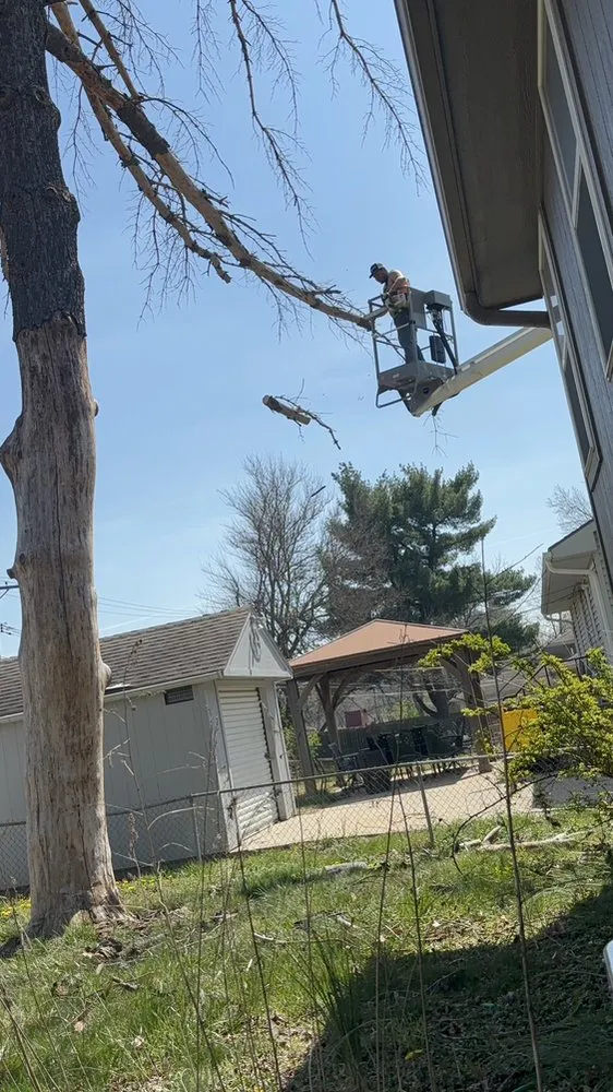 Trusted outdoor landscaping for outdoor upgrades in Kansas City, MO by Precision Lawn & Land