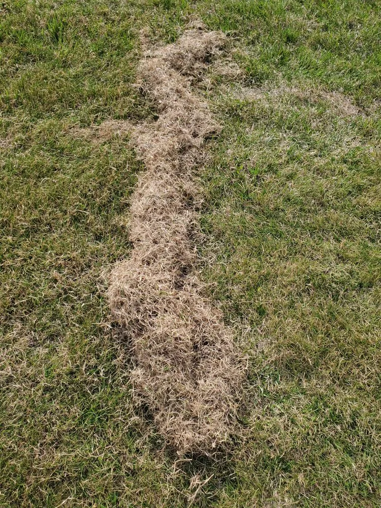 Local lawn mowing service in Fargo, ND - Precision Lawn & Landscape