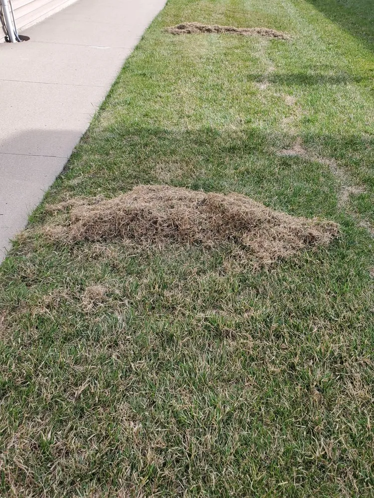 Custom landscape installation near you in Fargo, ND by Precision Lawn & Landscape