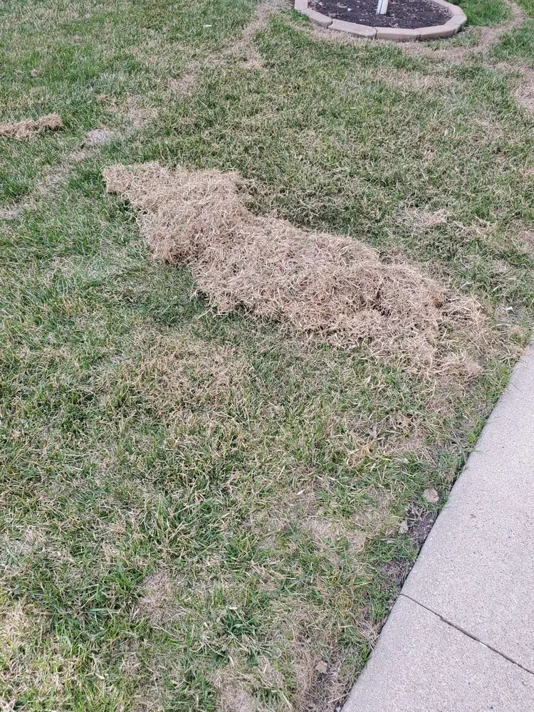 Reliable landscaping services experts serving Fargo, ND - Precision Lawn & Landscape