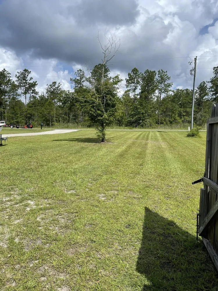 Affordable yard cleanup service in Jesup, GA - Precision Lawn & Landscape