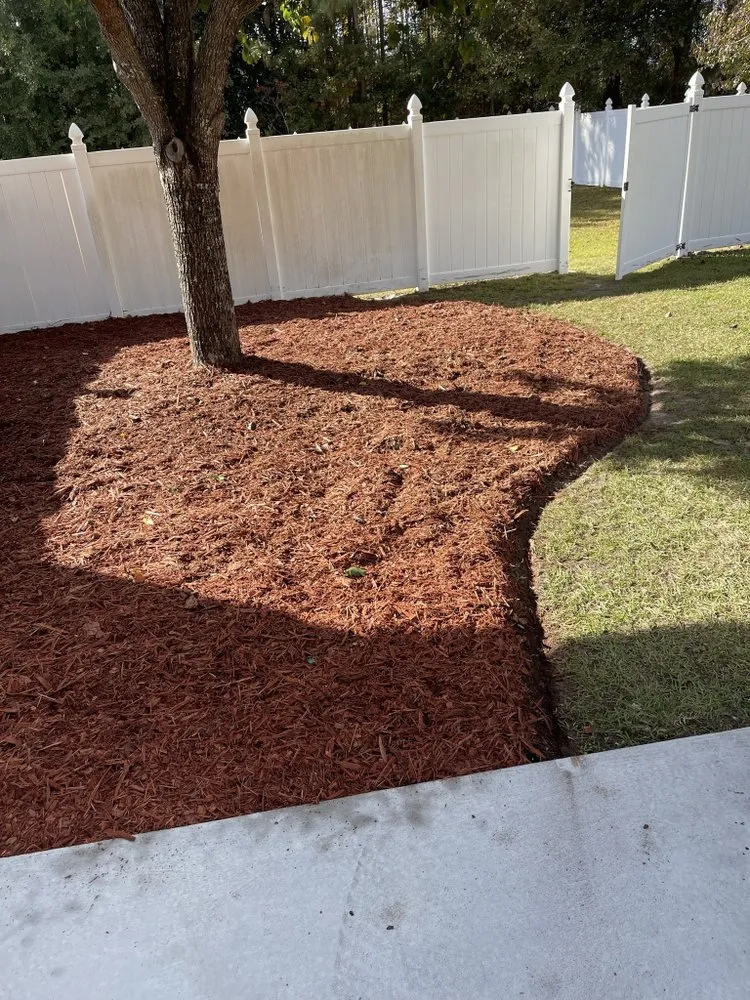 Expert outdoor landscaping for residential properties across Jesup, GA - Precision Lawn & Landscape