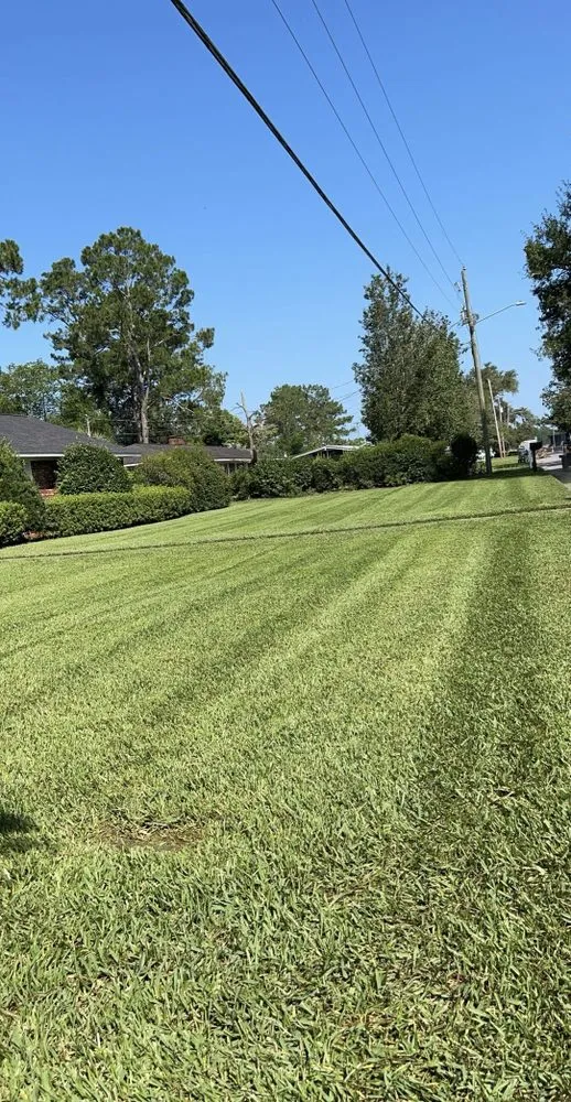 Local garden landscaping experts serving Jesup, GA - Precision Lawn & Landscape