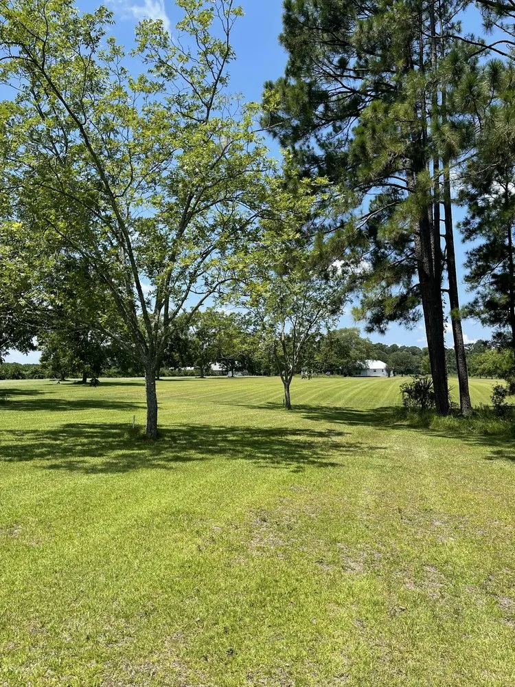 Trusted landscape design in Jesup, GA by Precision Lawn & Landscape