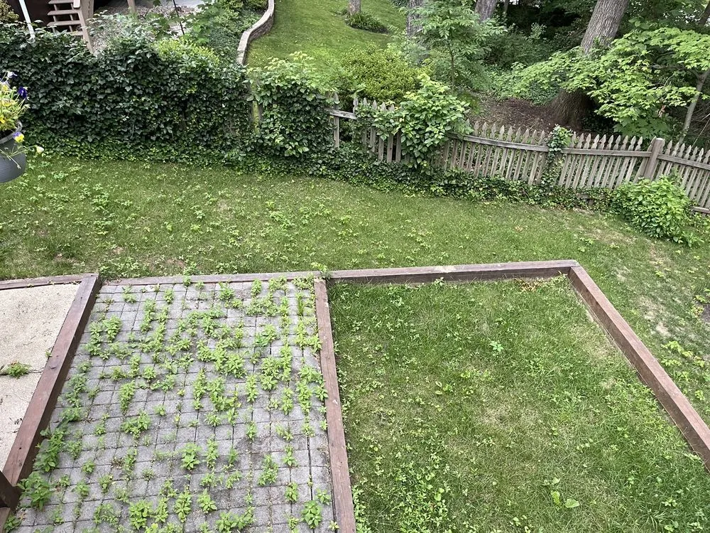 Reliable landscape installation experts serving Manassas Park, VA - Precision Lawn & Landscape