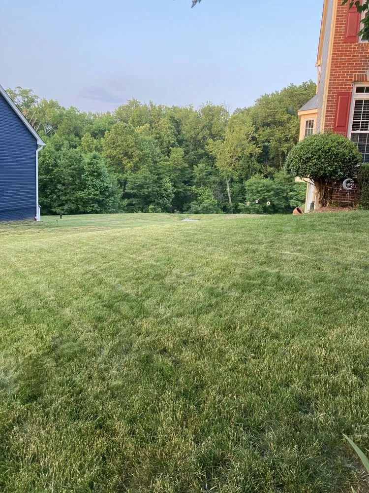 Top-rated yard maintenance for beautiful yards across Manassas Park, VA - Precision Lawn & Landscape