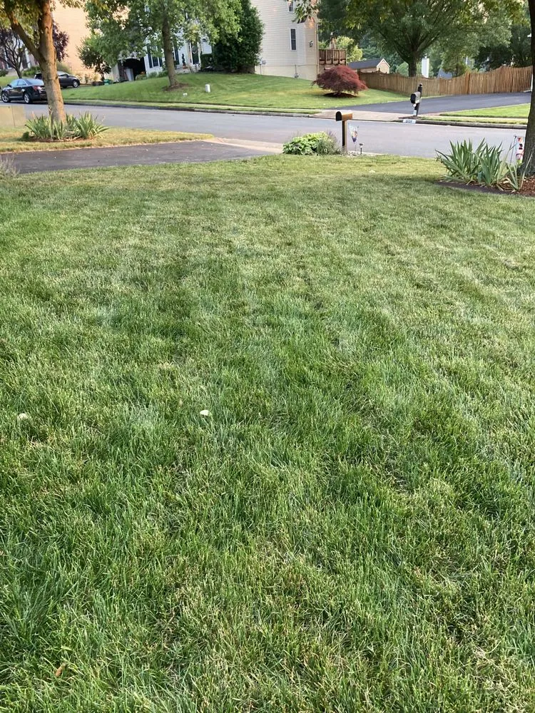Professional landscape installation in Manassas Park, VA by Precision Lawn & Landscape