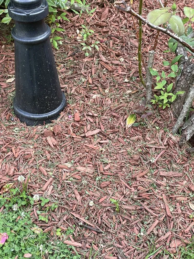 Reliable lawn care service experts serving Manassas Park, VA - Precision Lawn & Landscape