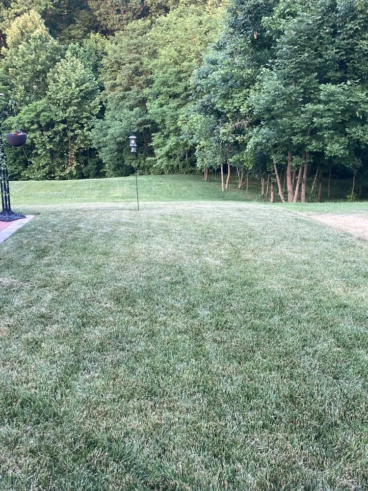 Trusted yard cleanup service in Manassas Park, VA - Precision Lawn & Landscape