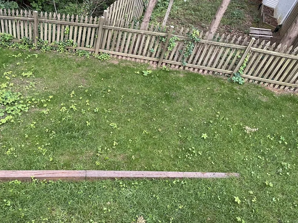 Top-rated lawn care service experts serving Manassas Park, VA - Precision Lawn & Landscape