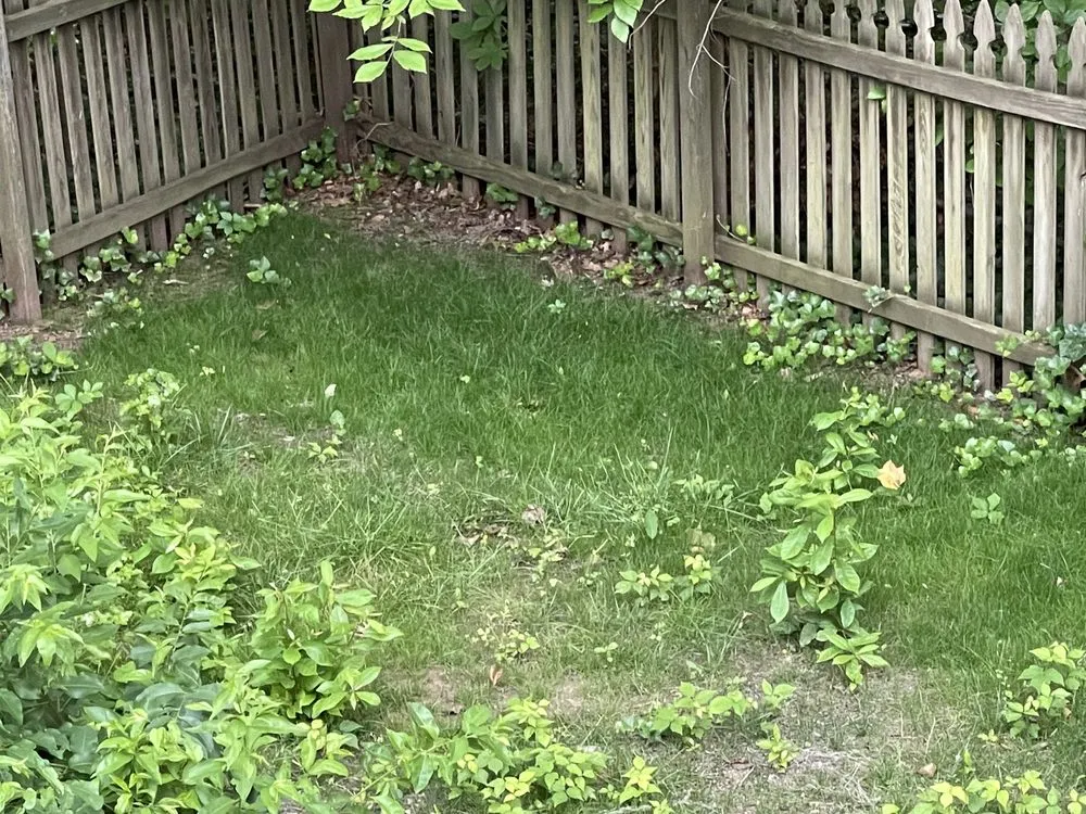 Top-rated landscape design experts serving Manassas Park, VA - Precision Lawn & Landscape