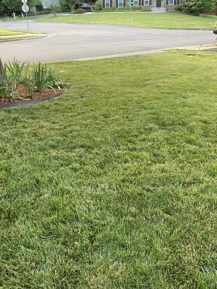 Top-rated outdoor landscaping for homes in Manassas Park, VA by Precision Lawn & Landscape