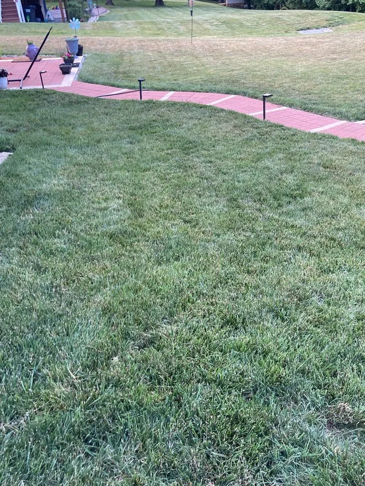 Affordable residential landscaping for residential properties across Manassas Park, VA - Precision Lawn & Landscape