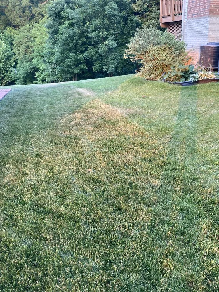 Affordable landscape installation for residential properties in Manassas Park, VA by Precision Lawn & Landscape